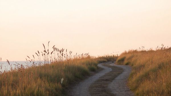 Découvrez les oiseaux en Camargue lors d'une balade nature